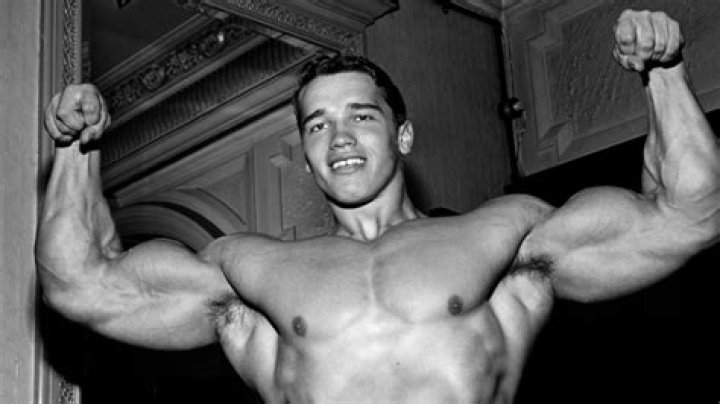 Arnold Schwarzenegger's Son Joseph Baena Shows Off Chiseled Abs & Pecs
