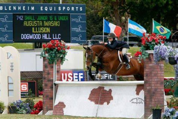 Iwasaki, Rinaldi, Buckingham Makes Their Marks at US Junior Hunter