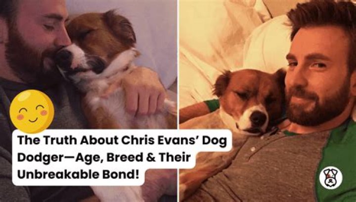The Truth About Chris Evans' Younger Brother, Scott